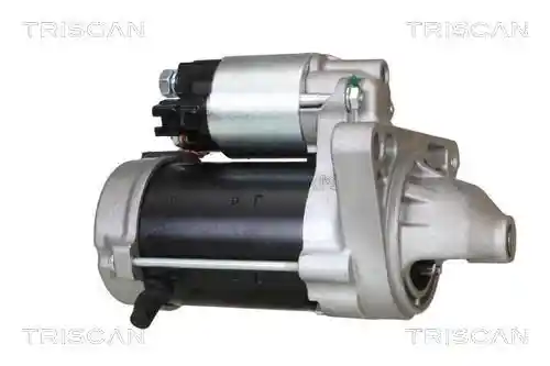 TRISCAN 8305 10131