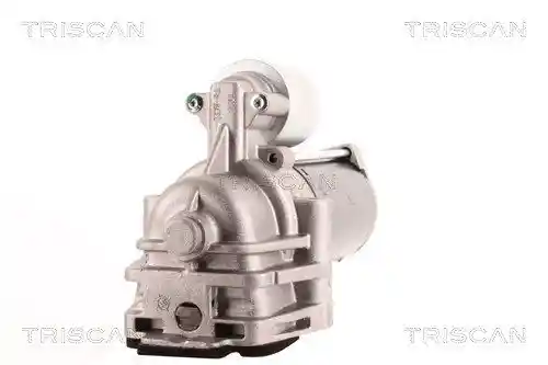 TRISCAN 8305 10133