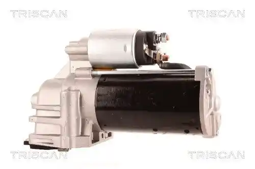 TRISCAN 8305 10133