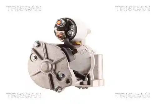 TRISCAN 8305 10133