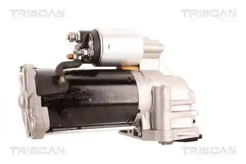 TRISCAN 8305 10133