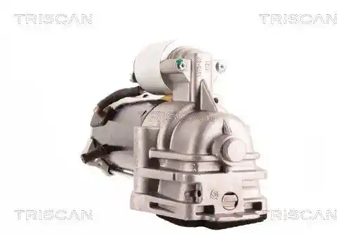 TRISCAN 8305 10133