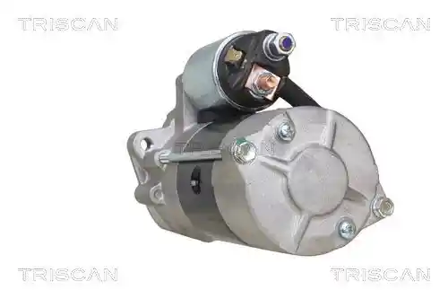 TRISCAN 8305 10138