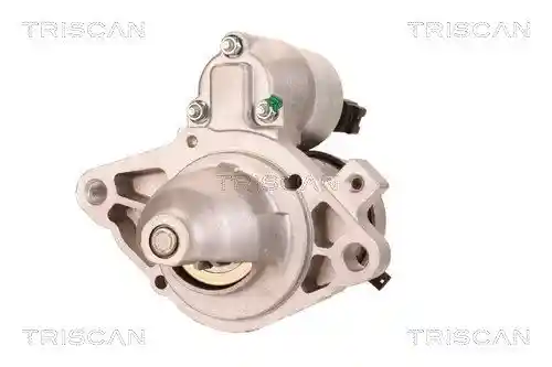 TRISCAN 8305 13011 TRISCAN 8305 13011
