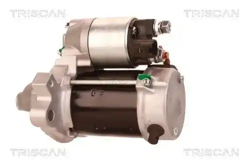 TRISCAN 8305 13011 TRISCAN 8305 13011