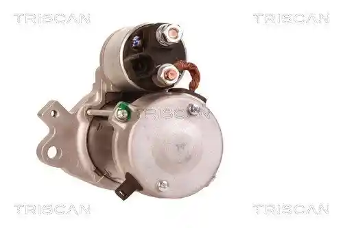TRISCAN 8305 13011 TRISCAN 8305 13011