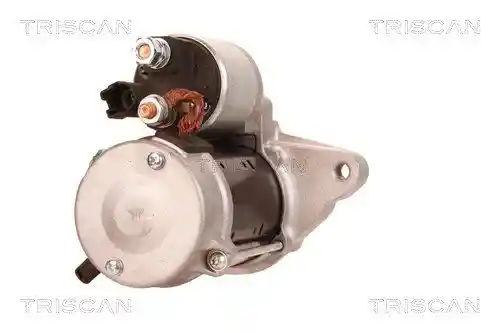 TRISCAN 8305 13011 TRISCAN 8305 13011