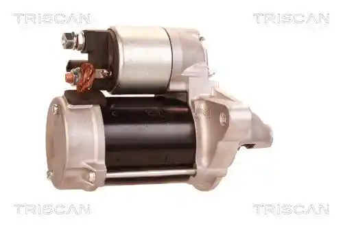 TRISCAN 8305 13011 TRISCAN 8305 13011