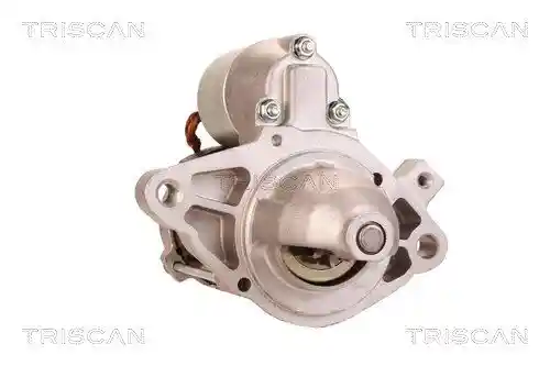TRISCAN 8305 13011 TRISCAN 8305 13011