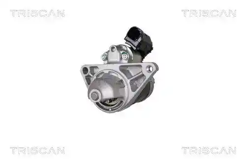 TRISCAN 8305 13024