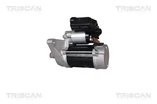 TRISCAN 8305 13024