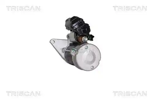 TRISCAN 8305 13024