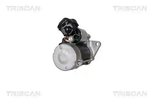 TRISCAN 8305 13024