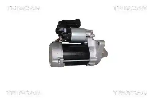 TRISCAN 8305 13024