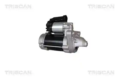 TRISCAN 8305 13024
