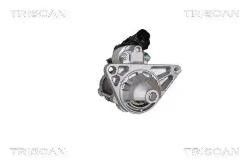 TRISCAN 8305 13024