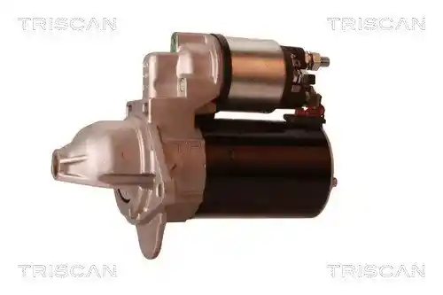TRISCAN 8305 24005
