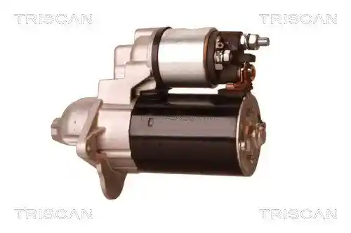 TRISCAN 8305 24005