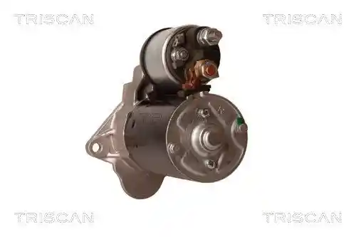 TRISCAN 8305 24005