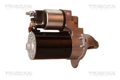 TRISCAN 8305 24005