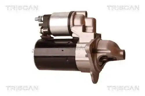 TRISCAN 8305 24005