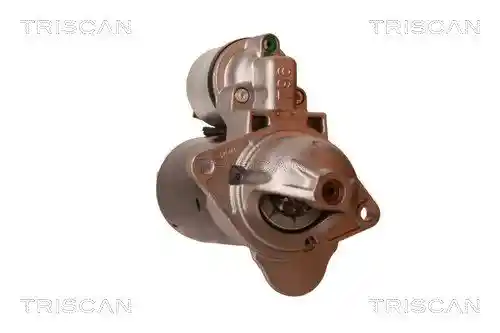 TRISCAN 8305 24005