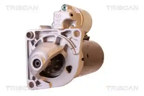 TRISCAN 8305 24006