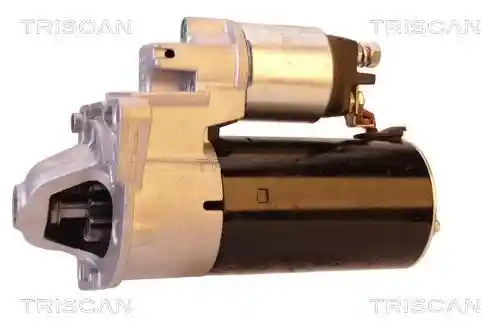 TRISCAN 8305 24006