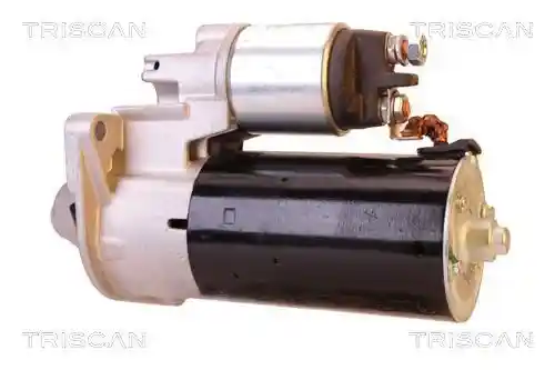TRISCAN 8305 24006