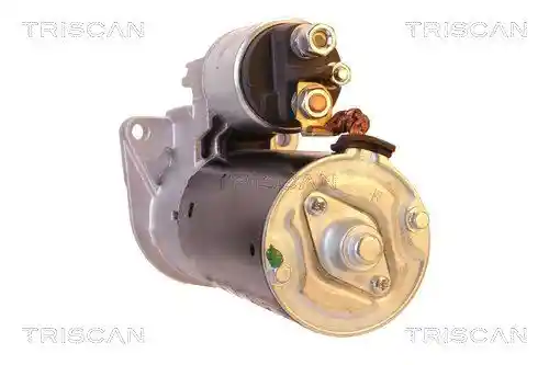 TRISCAN 8305 24006