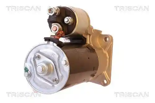 TRISCAN 8305 24006