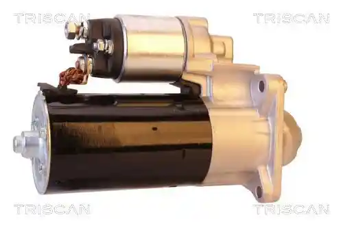 TRISCAN 8305 24006
