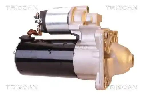TRISCAN 8305 24006