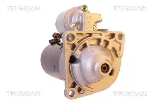 TRISCAN 8305 24006