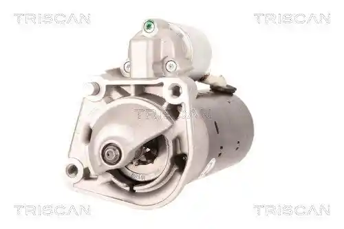 TRISCAN 8305 27004