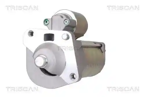 TRISCAN 8305 27006