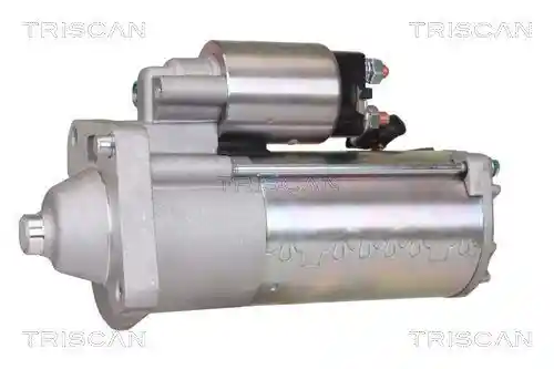 TRISCAN 8305 27006