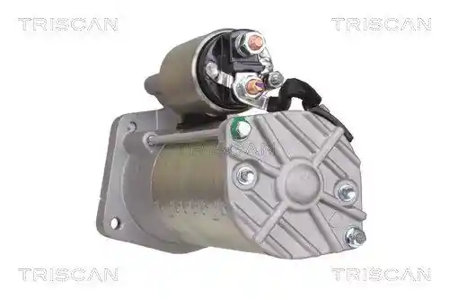 TRISCAN 8305 27006