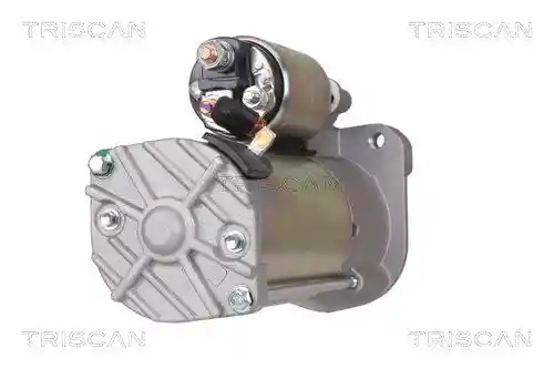 TRISCAN 8305 27006