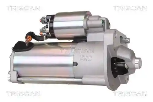 TRISCAN 8305 27006