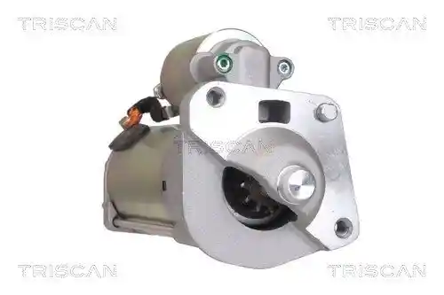 TRISCAN 8305 27006