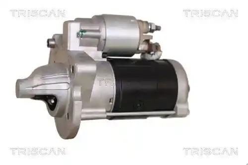 TRISCAN 8305 27010