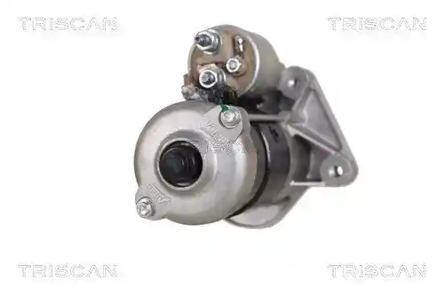 TRISCAN 8305 27010