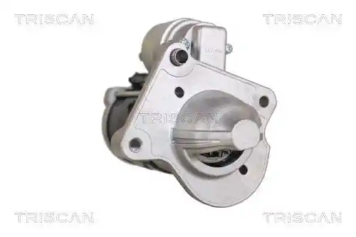 TRISCAN 8305 27010
