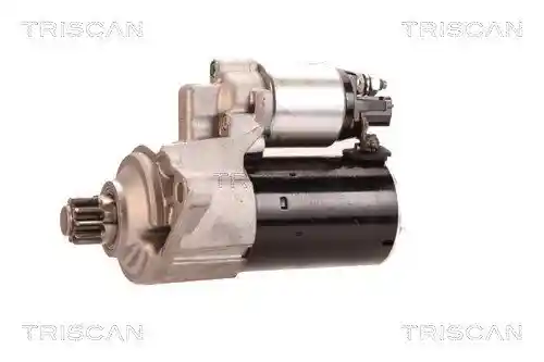 TRISCAN 8305 29029 TRISCAN 8305 29029
