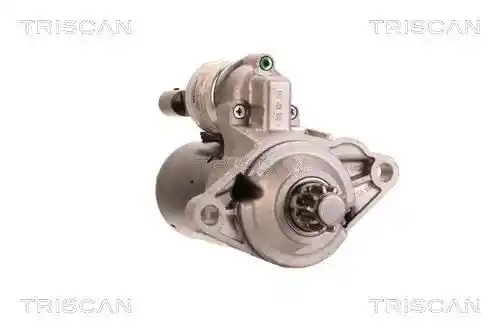 TRISCAN 8305 29029 TRISCAN 8305 29029