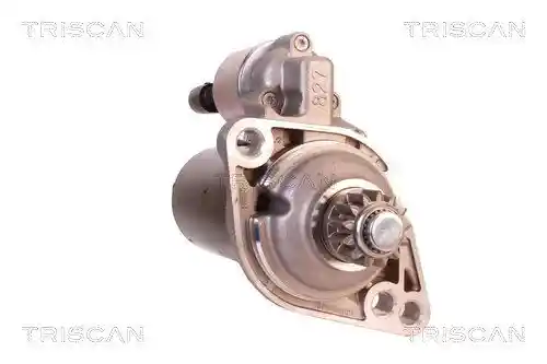 TRISCAN 8305 29030 TRISCAN 8305 29030