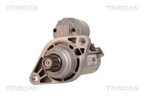 TRISCAN 8305 29031 TRISCAN 8305 29031