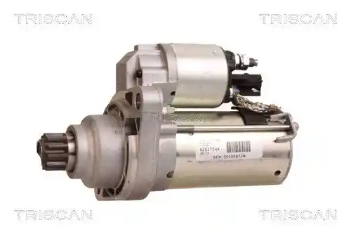 TRISCAN 8305 29031 TRISCAN 8305 29031