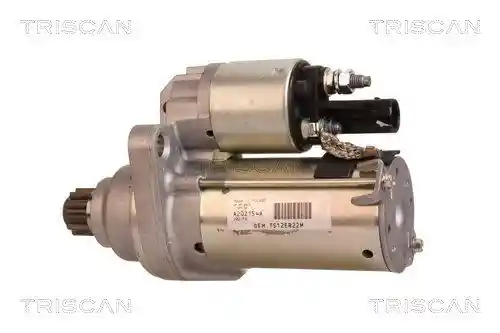 TRISCAN 8305 29031 TRISCAN 8305 29031